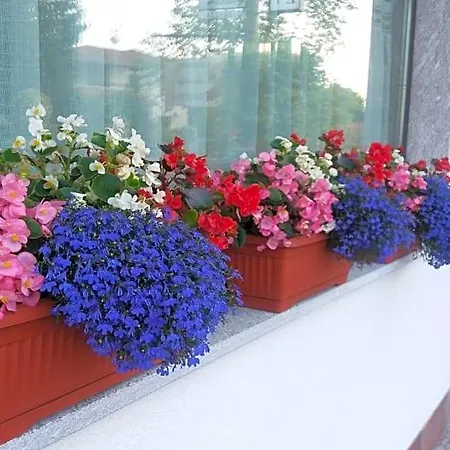 Verbena Frühstückspension