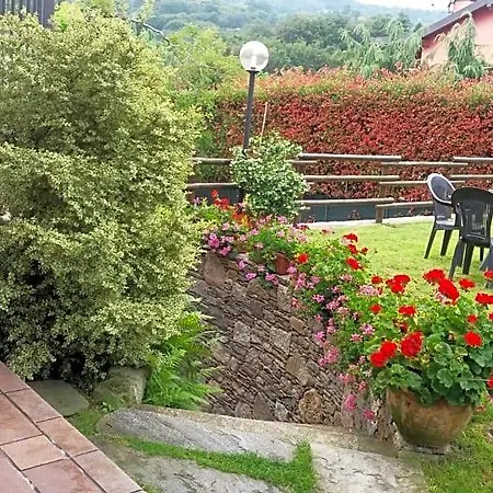 Verbena Stresa
