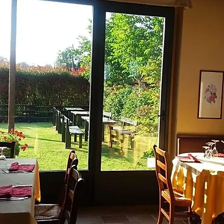 Verbena 3*