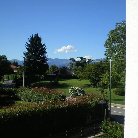 Verbena 스트레사