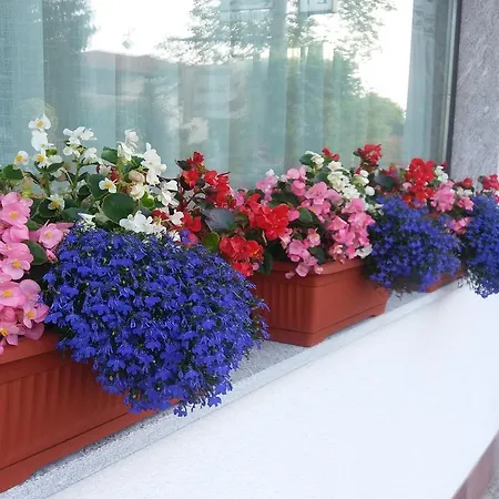 Verbena Bed and breakfast