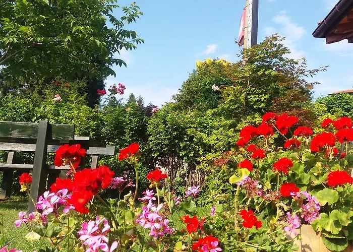 B&B Verbena 3*