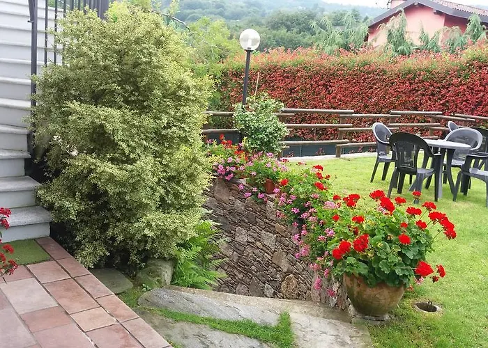 Verbena