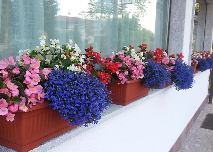 Verbena B&B