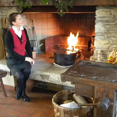 Verbena ستريزا