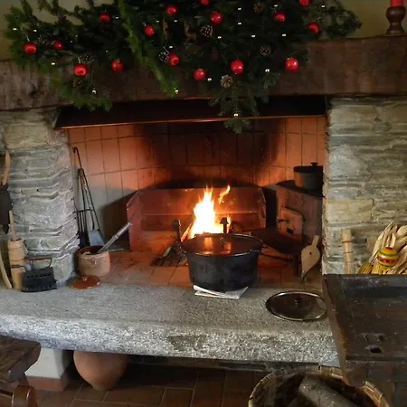 Verbena ستريزا